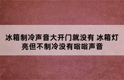 冰箱制冷声音大开门就没有 冰箱灯亮但不制冷没有嗡嗡声音